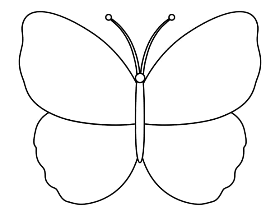 Butterfly Outline Drawing Tracing Worksheets Pdf Free Vectors